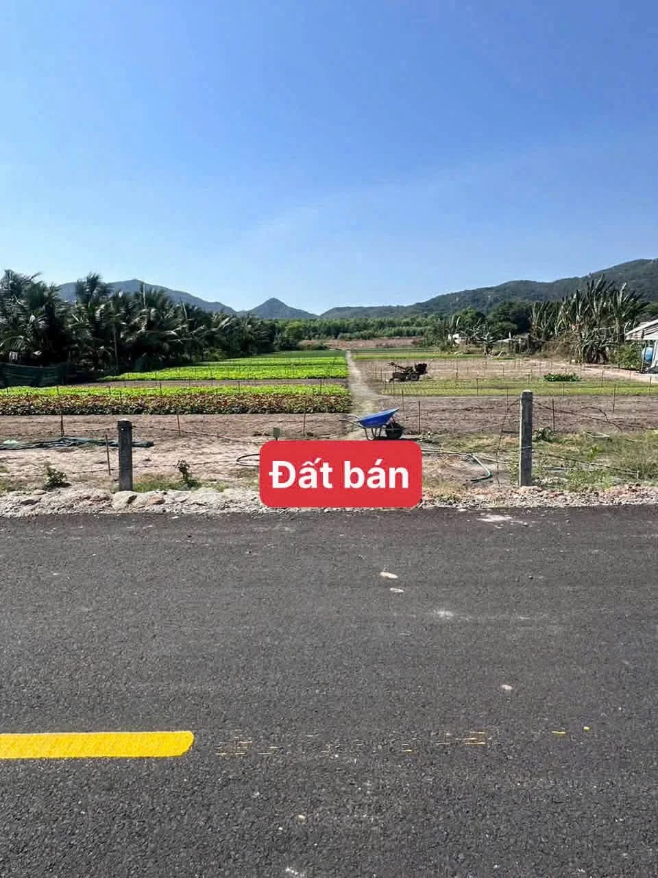 Bán đất Long Mỹ Phước Hải 4873m2, 2 triệu/m2 - Ảnh 1
