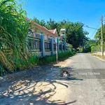 390tr thương lượng mạnh. Bán đất đường nhựa tại Xã Phước Thạnh, Gò Dầu, Tây Ninh, 137,1m² thổ cư - Ảnh thu nhỏ 3