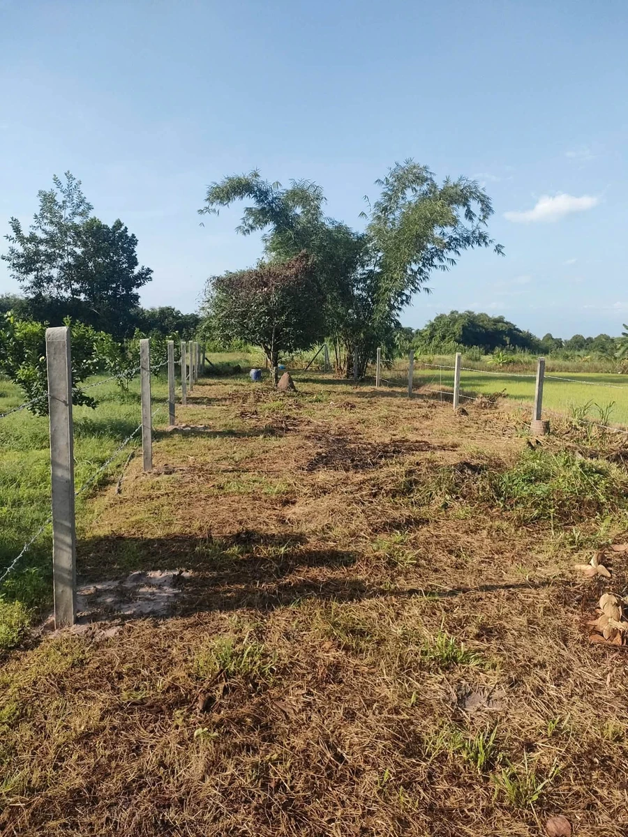 Bán nhà đất 150m² Tây Ninh 420 triệu - Ảnh thu nhỏ 3