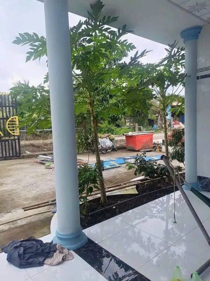 Bán nhà đất thổ cư 392m2 mặt tiền xe tải, view kênh tại Mỹ An, Thủ Thừa giá 1,3 tỷ - Ảnh 1