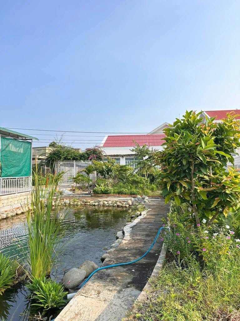 Bán nhà vườn 440m2 Phường Bình Thuận, Phan Thiết 2.5 tỷ - Ảnh thu nhỏ 4