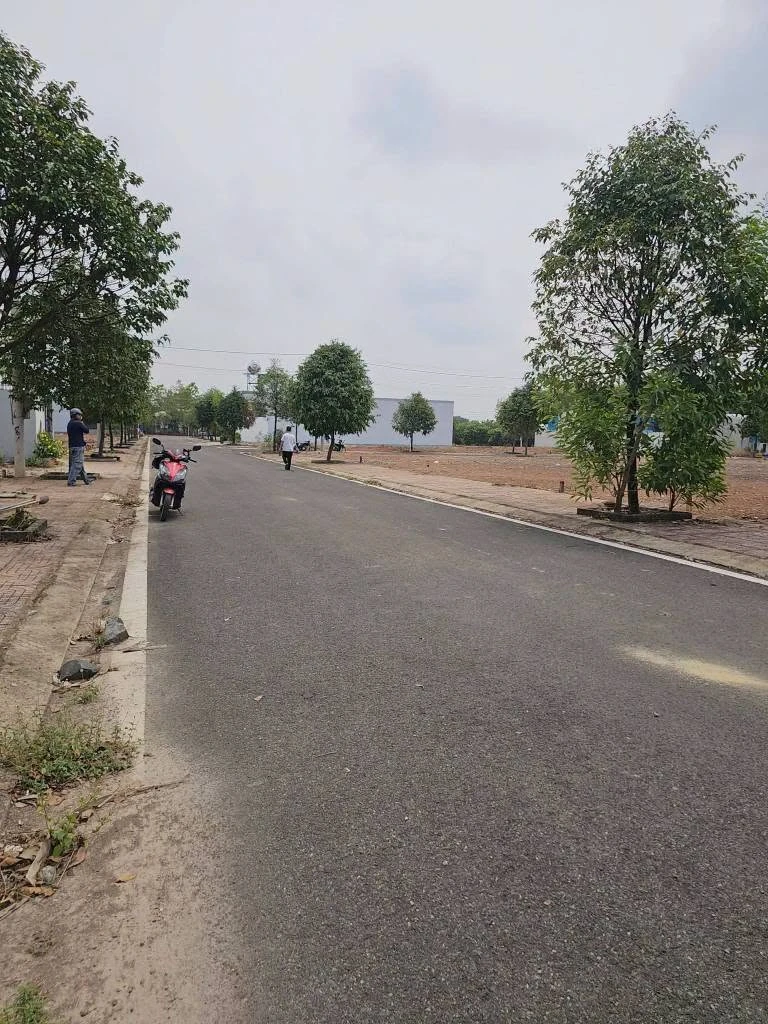 Bán đất mặt tiền Bình Phước 60 m², 590 triệu - Ảnh thu nhỏ 4