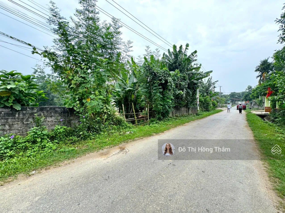 Chủ cần bán 1290m² tại Thanh Sơn, bám trục đường nhựa liên xã làm nghỉ dưỡng giá rẻ chỉ 3,7tr/m² - Ảnh 1