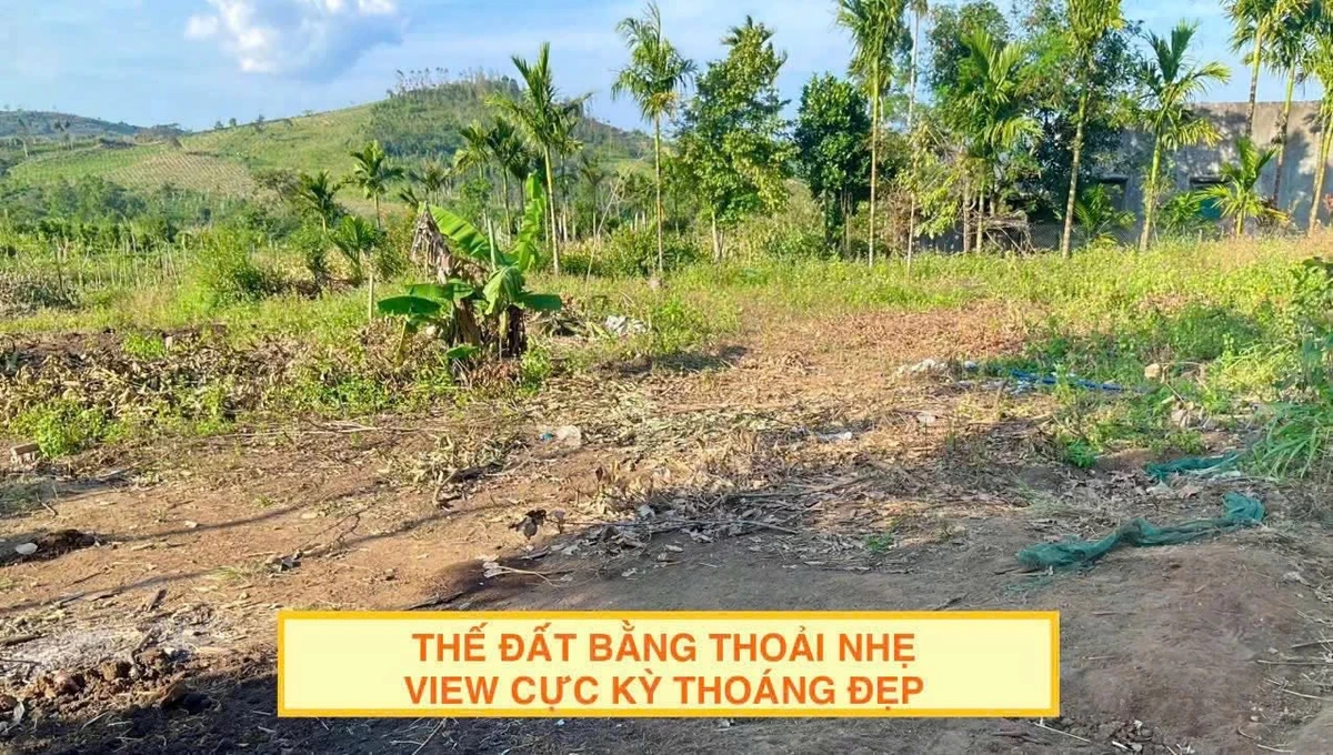 Bán đất 1000m2 có 100m2 thổ cư gần QL29, Ea Knốp, Ea Kar, Đắk Lắk giá 239 triệu - Ảnh thu nhỏ 4