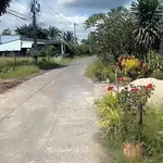 Bán đất Tân Biên Tây Ninh 126m² giá 110 triệu - Ảnh thu nhỏ 1