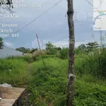 Ngân hàng thanh lý đất tại TD112-118, khóm 6, Phường 9, Thành phố Cà Mau, tỉnh Cà Mau-05227038 - Ảnh thu nhỏ 2