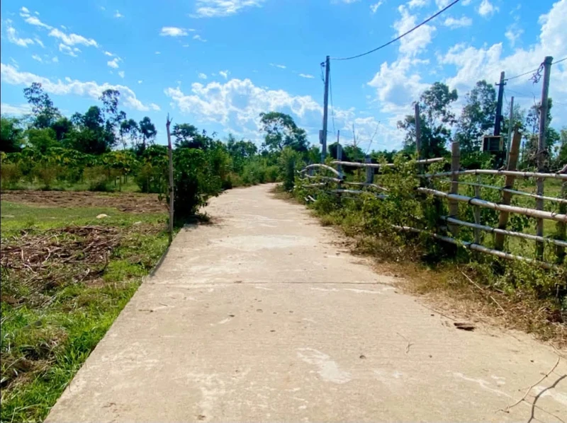 Bán đất Cẩm Kim Hội An 8x47m mặt tiền 3xx triệu