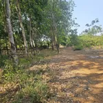 Bán đất 4800 m² Đồng Phú, Đồng Nai, giá 2.1 tỷ - Ảnh thu nhỏ 2