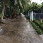Bán 28.800 m² đất trồng sầu riêng Thái Cần Thơ - Ảnh thu nhỏ 5