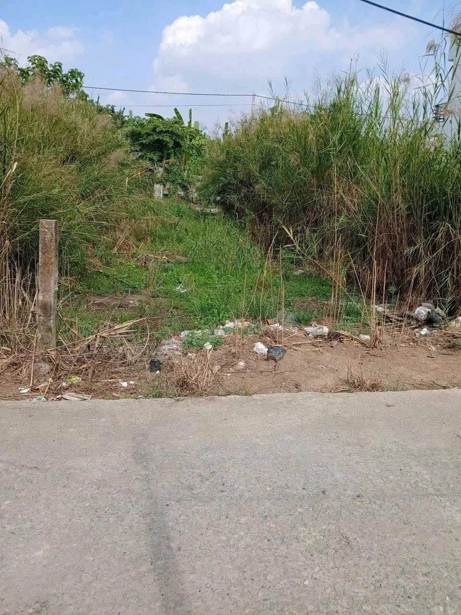 Bán lô đất thổ cư 115m² Thủ Thừa Long An - Ảnh thu nhỏ 3