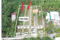 Chính chủ cần bán đất vườn mặt tiền đường 3m, có thổ cư - Ảnh thu nhỏ 4