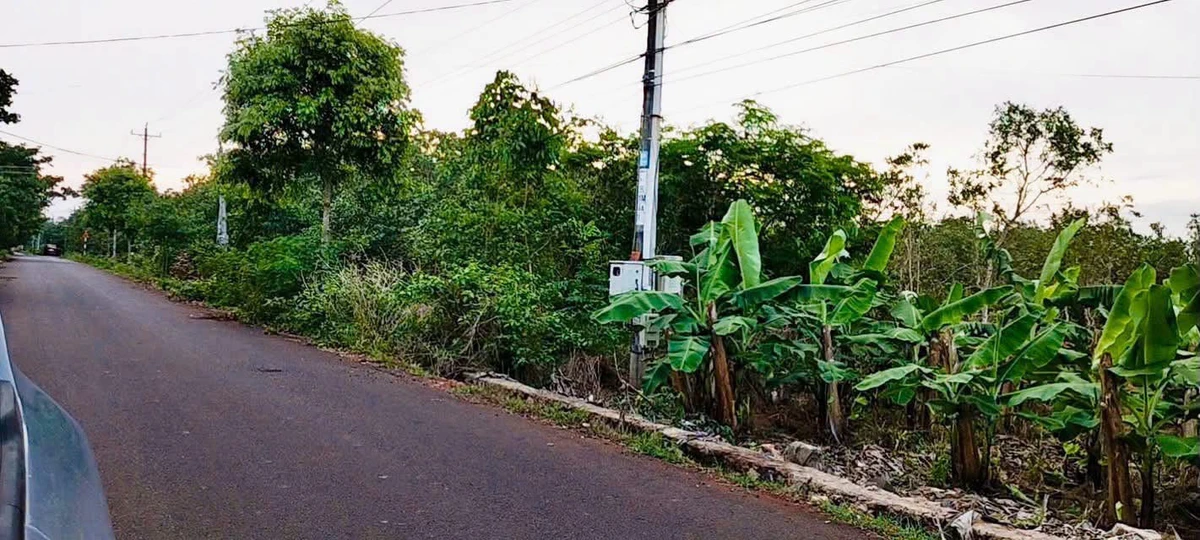 Bán đất 8 sào Bàu Lâm Xuyên Mộc 7 tỷ - Ảnh thu nhỏ 3