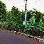 Bán đất 8 sào Bàu Lâm Xuyên Mộc 7 tỷ - Ảnh thu nhỏ 3