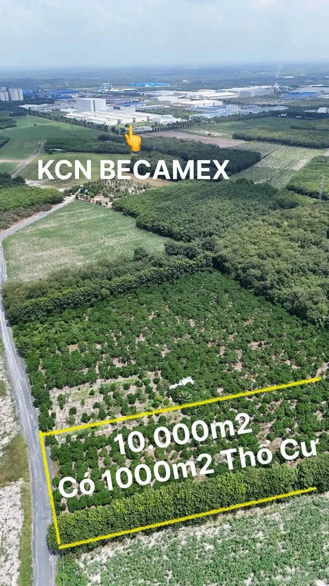 Bán đất 1 hectare mặt tiền Nguyễn Văn Linh, Chơn Thành, Bình Dương - Ảnh thu nhỏ 2