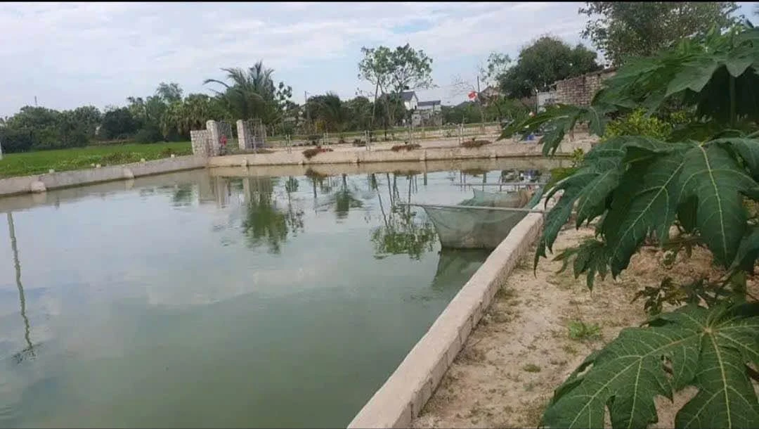 Bán đất 2000m² mặt tiền 41m Tân Phong Cần Giờ - Ảnh thu nhỏ 3