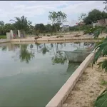 Bán đất 2000m² mặt tiền 41m Tân Phong Cần Giờ - Ảnh thu nhỏ 3