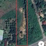 Bán đất mặt tiền Tỉnh Lộ 3 5000m² Cam Lâm Khánh Hòa 9,5 tỷ - Ảnh thu nhỏ 1