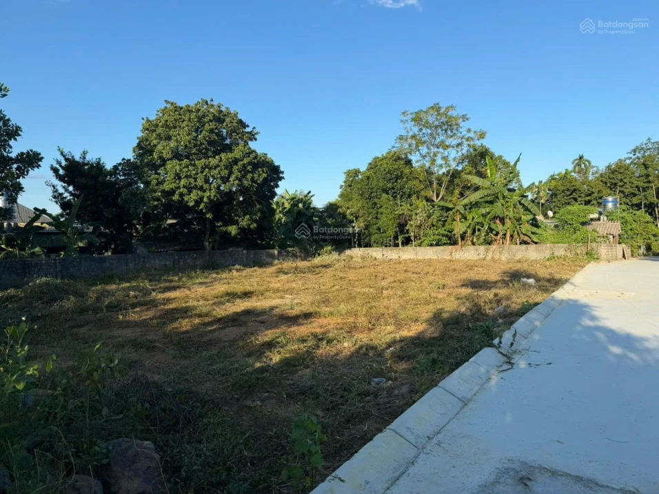 Đất 398m² mặt tiền 24m, ngõ ô tô 7m gần hàng loạt khu nghỉ dưỡng, cơ hội đầu tư đáng chú ý - Ảnh thu nhỏ 3