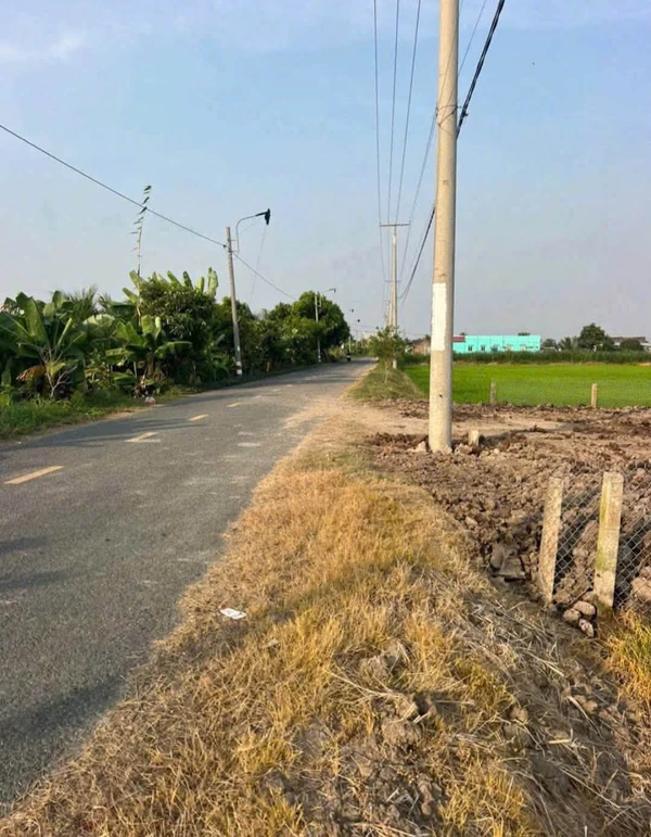 Bán đất 5x45m thổ cư + lúa đường Lộ Đình, Bình Trinh Đông, Tân Trụ giá 1,15 tỷ