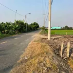 Bán đất 5x45m thổ cư + lúa đường Lộ Đình, Bình Trinh Đông, Tân Trụ giá 1,15 tỷ - Ảnh thu nhỏ 1
