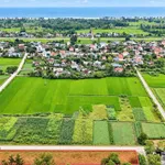 Bán đất 160m² Đan Hải Hà Tĩnh 800 triệu - Ảnh thu nhỏ 3