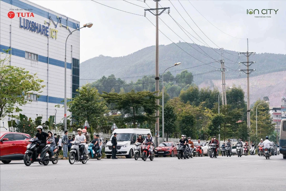 Bán đất nền dự án ION City, diện tích 70m², giá 2,9 tỷ - Ảnh thu nhỏ 3