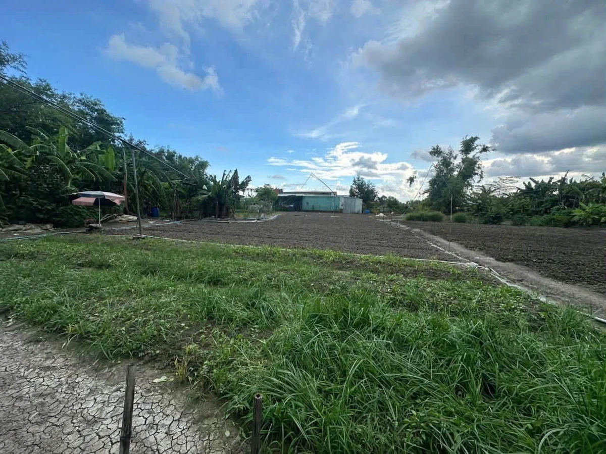 Bán lô đất vườn 2757m² Phước Hậu, Long An - Ảnh thu nhỏ 2