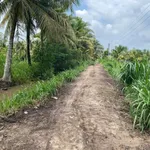 Bán đất ruộng 6 công mặt tiền bờ kinh Phong Thạnh - Ảnh thu nhỏ 1