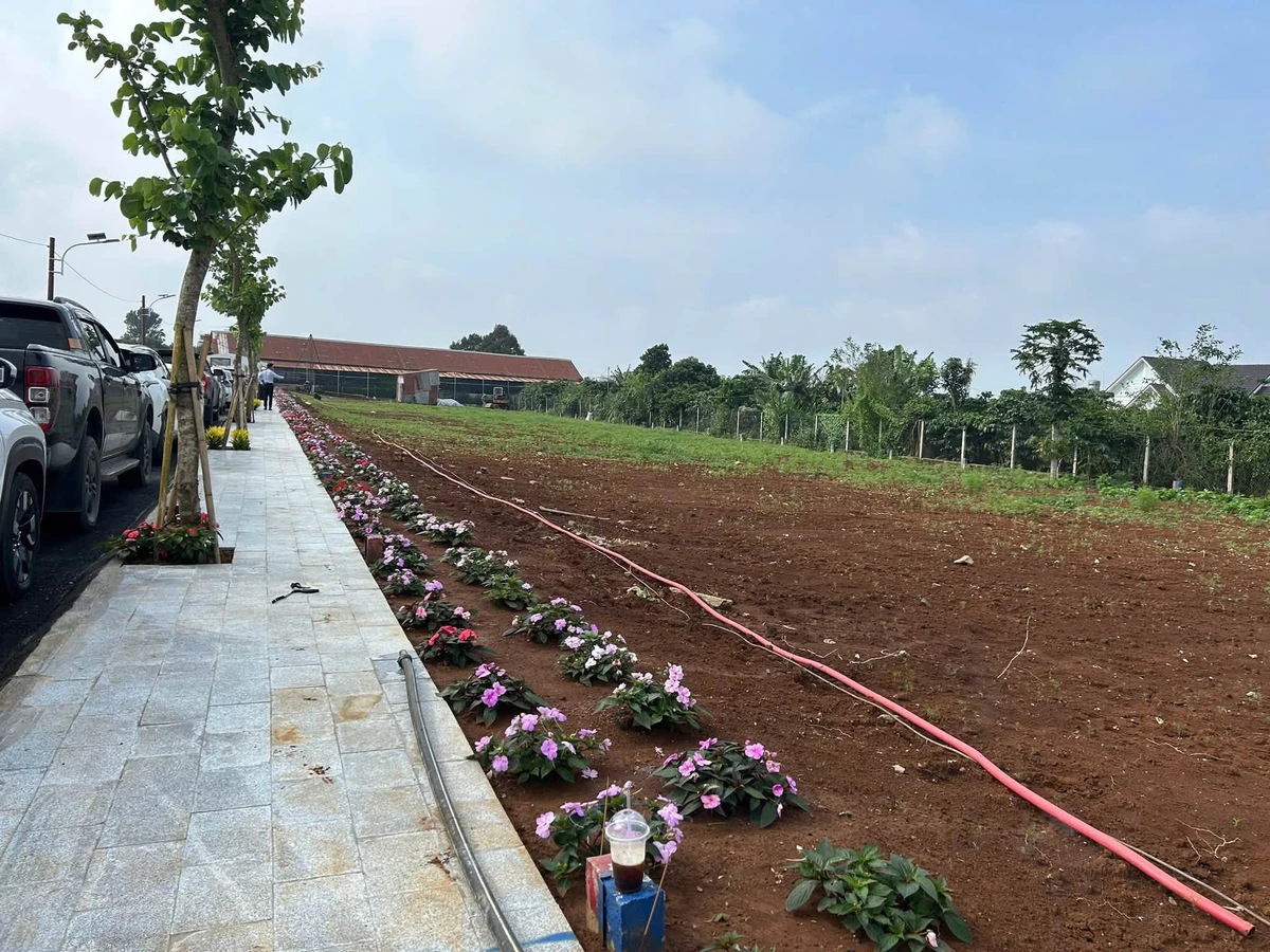 Bán đất nền 75m² tại Trúc An Viên Liên Khương, 1 tỷ 250 triệu - Ảnh thu nhỏ 3