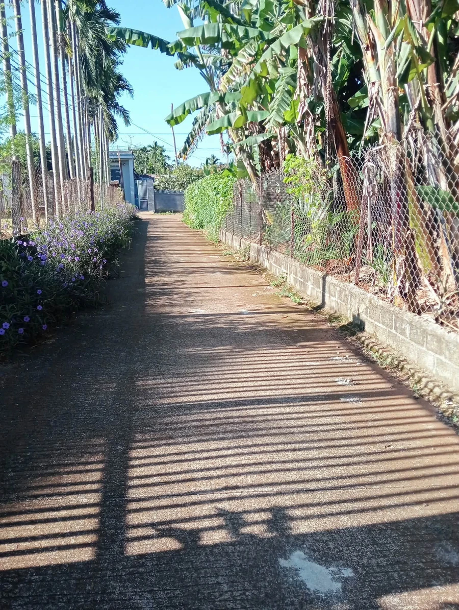 Bán đất thôn Toàn Thắng Bình Dương 300m2 giá 1 tỷ 7 - Ảnh thu nhỏ 2