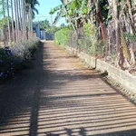 Bán đất thôn Toàn Thắng Bình Dương 300m2 giá 1 tỷ 7 - Ảnh thu nhỏ 2