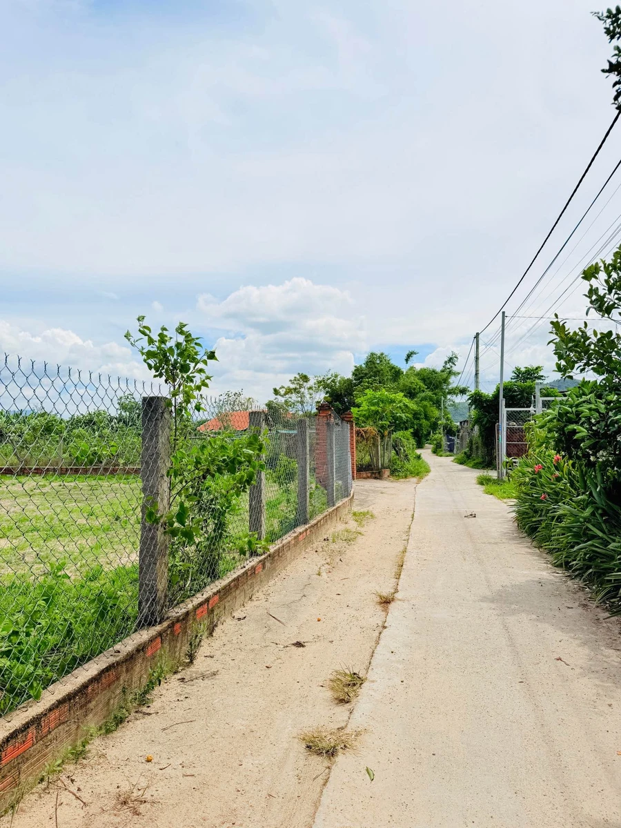 Bán đất 1000m2 tại Bình An 2, Tuy Phước Tây, Bình Dương - Ảnh thu nhỏ 5