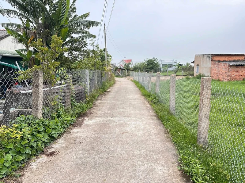 Bán lô đất cây trồng 1160m² Xã Hàm Liêm Lâm Đồng