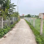 Bán lô đất cây trồng 1160m² Xã Hàm Liêm Lâm Đồng - Ảnh thu nhỏ 1