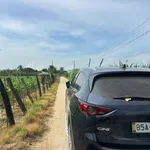 Bán 1552m2 đất vườn có nhà - Lương Cang, Đông Vinh - Phan Rang - 990tr bao sổ - Ảnh thu nhỏ 1