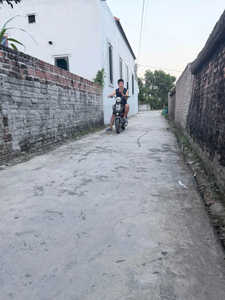 Bán đất 245m² Thanh Miện Hà Đông 1 tỷ 2 - Ảnh thu nhỏ 2
