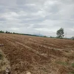Bán đất 33.621m² giá 1,8 tỷ tại Hàm Thuận Nam, Bình Thuận - Ảnh thu nhỏ 2