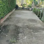 Bán đất Phú Hưng Bến Tre 530m2 1 tỷ 250 triệu - Ảnh thu nhỏ 3
