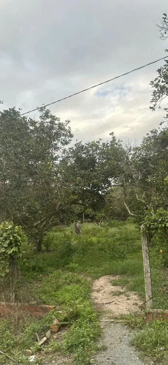 Bán đất 50m² Phường Ninh Thạnh, Tây Ninh 550 triệu - Ảnh 1