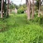 Bán đất nền 455m² Phường Sơn Đông, Bến Tre - Ảnh thu nhỏ 2