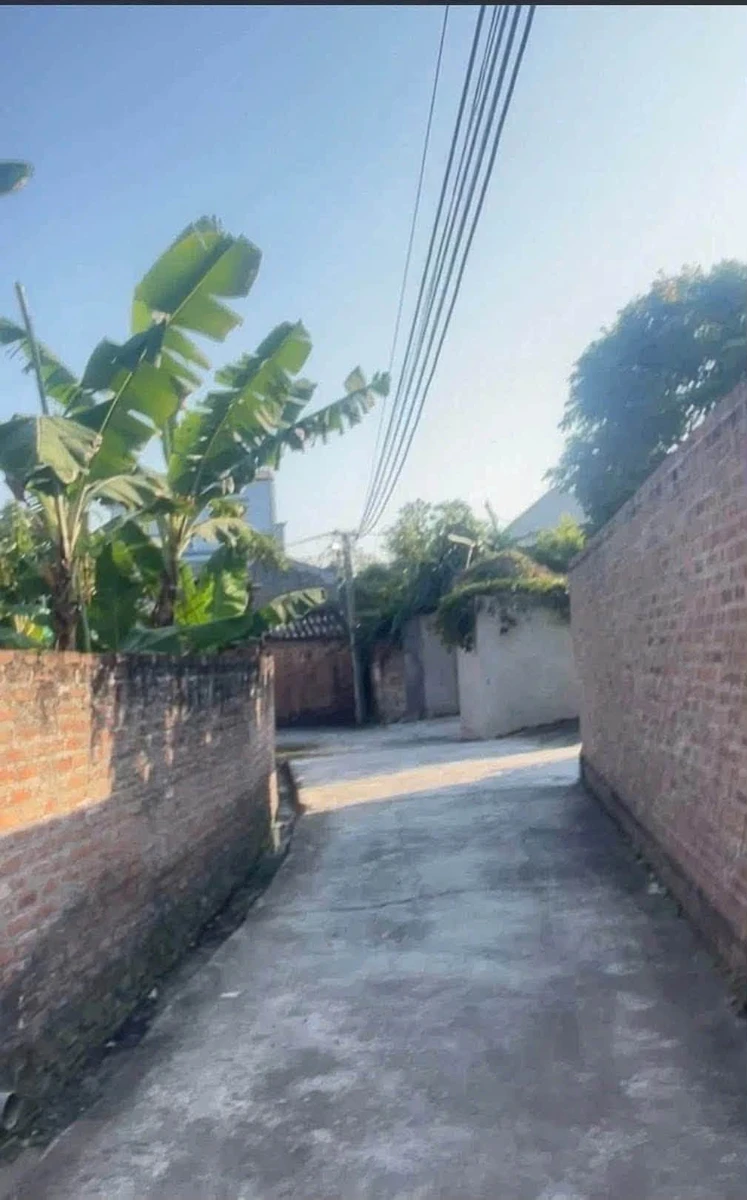 Bán nhà 2 tầng 312m² 4 PN tại An Phú, Hải Phòng - Ảnh thu nhỏ 4