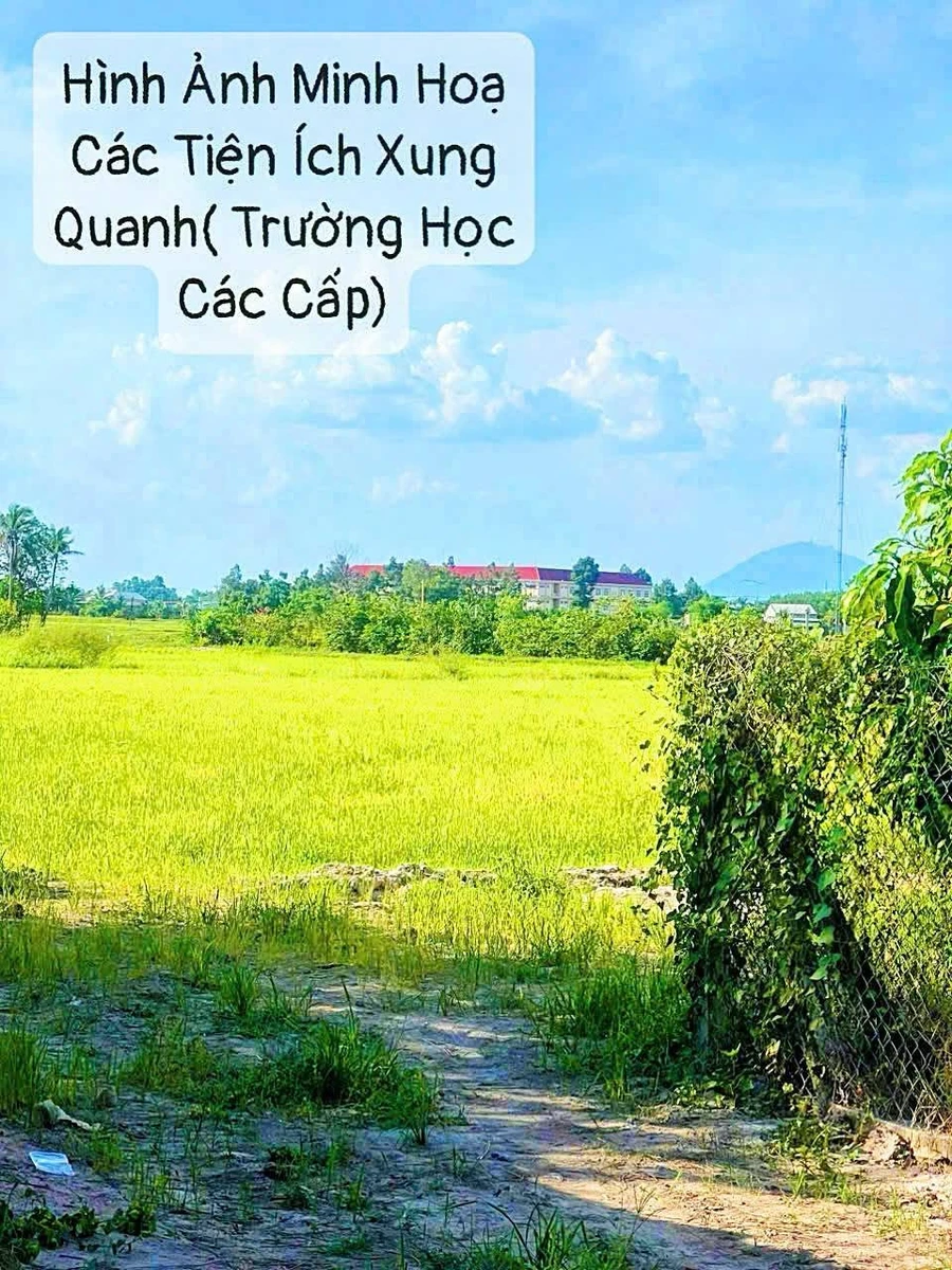 Bán đất 10.844m2 hai mặt tiền đường tại xã Long Khánh, Bến Cầu, Tây Ninh - Ảnh 1