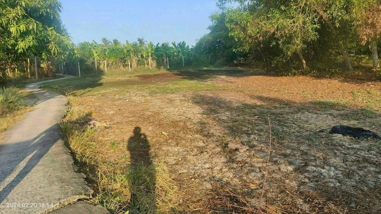 Bán lô đất 975m2 Xã Phước Lý, Cần Giuộc, Long An - Ảnh 1