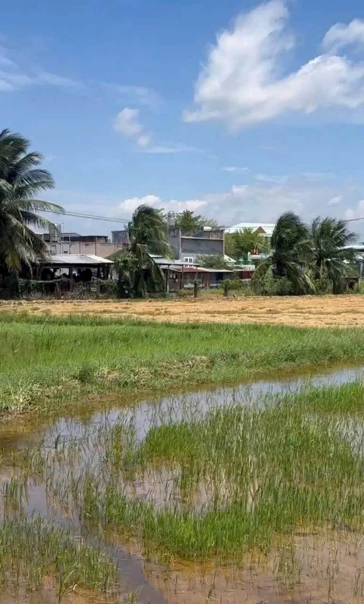 Bán 500m đất cây trồng Hồng Sơn, Lâm Đồng 135 triệu - Ảnh thu nhỏ 2