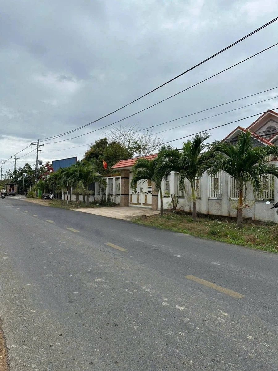 Bán lô đất thổ cư 137m² mặt đường nhựa Hàm Liêm, Bình Thuận - Ảnh thu nhỏ 5