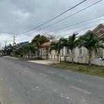 Bán lô đất thổ cư 137m² mặt đường nhựa Hàm Liêm, Bình Thuận - Ảnh thu nhỏ 5