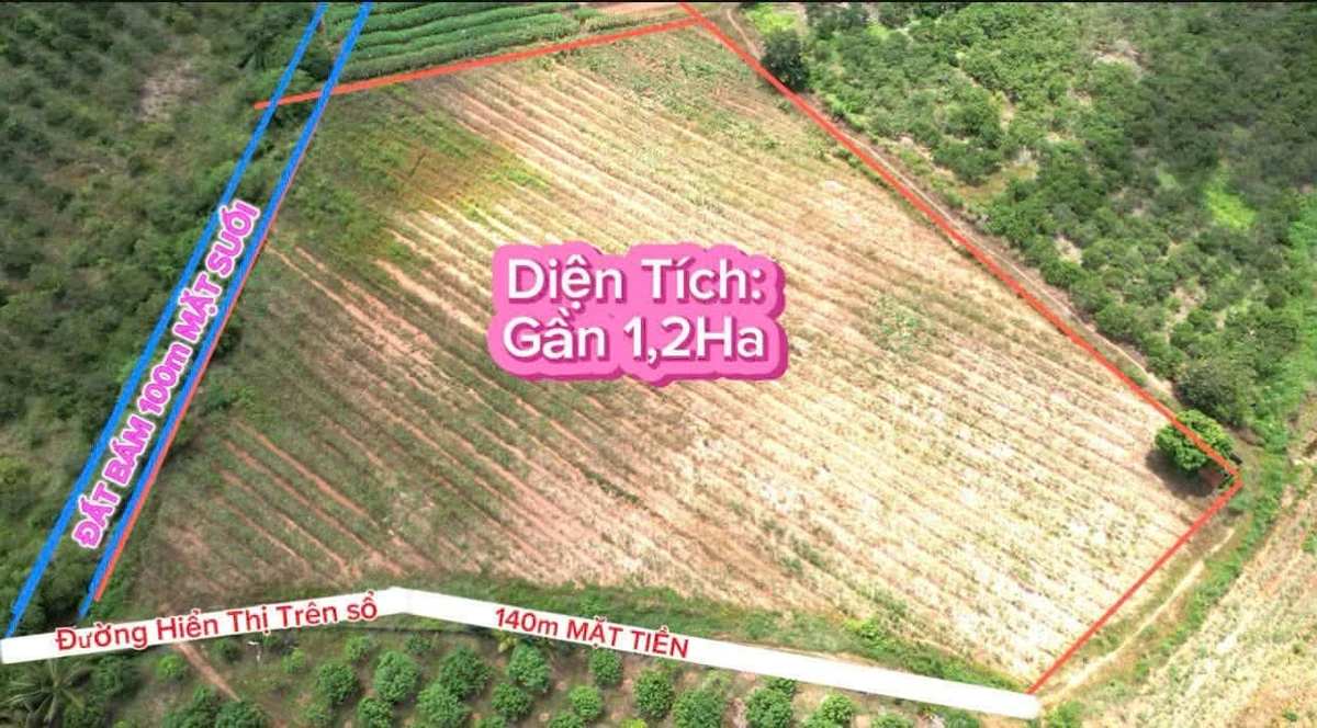 Bán 11.600m2 đất nông nghiệp view suối Buôn Đôn, Đắk Nông - Ảnh thu nhỏ 2