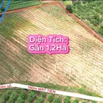 Bán 11.600m2 đất nông nghiệp view suối Buôn Đôn, Đắk Nông - Ảnh thu nhỏ 2