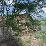 Bán 1 hecta đất tại huyện M'Đrăk, tỉnh Đắk Lắk - Ảnh thu nhỏ 13