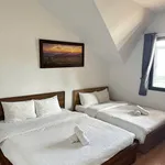 Bán villa 200m² 13 phòng ngủ Nguyễn Trung Trực, Đà Lạt - Ảnh thu nhỏ 4